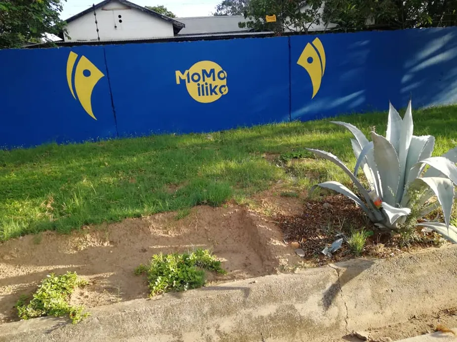 MTN MoMo wall branding completed in Zambia